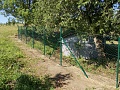 Obr: 5543.jpg
