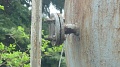 Obr: 5648.jpg