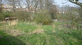Obr: 5695.jpg