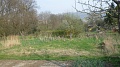 Obr: 5699.jpg