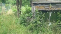 Obr: 6269.jpg