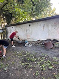 Obr: 49362.jpg