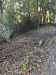 Obr: 49363.jpg