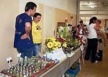 Obr: 47300.jpg