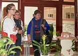 Obr: 47301.jpg
