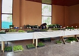 Obr: 47307.jpg