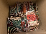 Obr: 47308.jpg