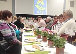 Obr: 47392.jpg