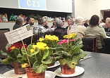 Obr: 47395.jpg