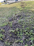 Obr: 48042.jpg