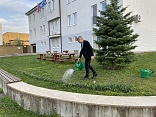 Obr: 48043.jpg