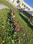 Obr: 48044.jpg