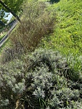 Obr: 48058.jpg
