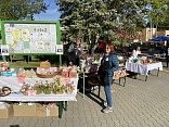 Obr: 48229.jpg