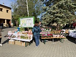 Obr: 48230.jpg