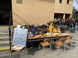 Obr: 48231.jpg