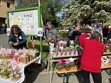Obr: 48232.jpg
