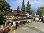 Obr: 48234.jpg