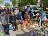 Obr: 48235.jpg