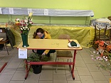 Obr: 48423.jpg