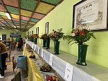 Obr: 48431.jpg
