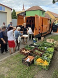 Obr: 49477.jpg