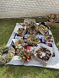 Obr: 49478.jpg