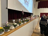 Obr: 51523.jpg