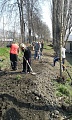 Obr: 13541.jpg