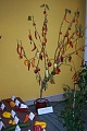 Obr: 13024.jpg