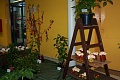 Obr: 13025.jpg