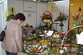 Obr: 13026.jpg