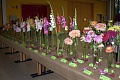 Obr: 13030.jpg