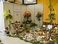 Obr: 13313.jpg