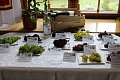 Obr: 25054.jpg