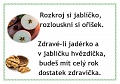 Obr: 33317.jpg