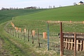 Obr: 38211.jpg