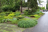 Obr: 45236.jpg