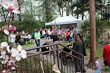 Obr: 47903.jpg