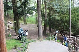 Obr: 47909.jpg
