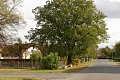 Obr: 907.jpg