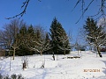 Obr: 8975.jpg