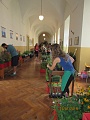 Obr: 37977.jpg