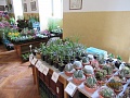 Obr: 37978.jpg