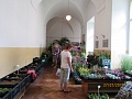 Obr: 37979.jpg