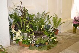 Obr: 42678.jpg