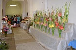Obr: 42681.jpg