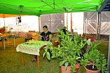 Obr: 42682.jpg
