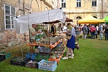 Obr: 42683.jpg