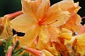 Obr: 25616.jpg
